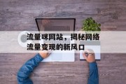 流量咪网站，揭秘网络流量变现的新风口