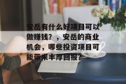 安岳有什么好项目可以做赚钱?,安岳的商业机会,哪些投资项目可能带来丰厚回报? 安岳有什么好项目可以做赚钱?,安岳的商业机会,哪些投资项目可能带来丰厚回报?