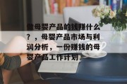 做母婴产品的钱赚什么？，母婴产品市场与利润分析，一份赚钱的母婴产品工作计划