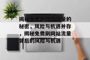 揭秘免费刷网站流量的秘密，风险与机遇并存，揭秘免费刷网站流量背后的风险与机遇