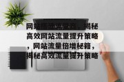 网站搭建流量高，揭秘高效网站流量提升策略，网站流量倍增秘籍，揭秘高效流量提升策略