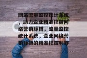 网站流量监控统计系统，助力企业精准把握网络营销脉搏，流量监控统计系统，企业网络营销脉搏的精准把握利器