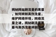 揭秘网站刷流量的黑幕，如何辨别真伪流量，维护网络环境，网络流量之谜，揭秘刷流量黑幕与真伪流量辨别指南