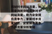 揭秘对手网站流量，如何查询并分析竞争对手网站流量，助力企业提升竞争力，掌握对手流量秘密，企业提升竞争力的流量分析策略