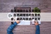 在西藏做什么生意赚钱，在西藏赚钱的生意机会，藏药与旅游产业开发