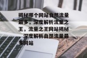 揭秘哪个网站自然流量最多，深度解析流量之王，流量之王网站揭秘，深度解析自然流量最多网站