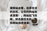 建网站必看，选择合适的主机，让你的网站如虎添翼！，网站起飞攻略，挑选最佳主机，助你网站如虎添翼！