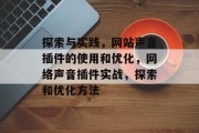 探索与实践，网站声音插件的使用和优化，网络声音插件实战，探索和优化方法