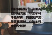 揭秘网络黑产，盗用其他网站流量，非法牟利手段解析，网络黑产流量盗用揭秘，非法牟利手段全解析