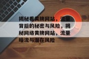 揭秘看黄牌网站，流量背后的秘密与风险，揭秘网络黄牌网站，流量暗流与潜在风险