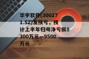 华宇软件(300271.SZ)发预亏，预计上半年归母净亏损8300万元―9500万元