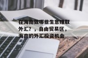 在海南做哪些生意赚取外汇?,自由贸易区,海南的外汇投资机会