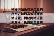 揭秘网站免费刷流量的秘密，如何高效提升网站流量，揭秘网站流量飙升术，免费刷流量的高效技巧