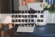 揭秘网站流量狂飙背后的真相与应对策略，网站流量激增之谜，揭秘真相与应对之道