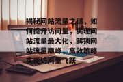 揭秘网站流量之谜，如何提升访问量，实现网站流量最大化，解锁网站流量巅峰，高效策略实现访问量飞跃