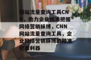 网站流量查询工具CNN，助力企业精准把握网络营销脉搏，CNN网站流量查询工具，企业网络营销脉搏的精准把握利器