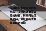 深度解析查看流量数据网站，揭秘网站流量背后的秘密，解码网站流量奥秘，深度解析流量数据网站揭秘