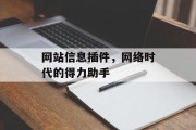 网站信息插件，网络时代的得力助手