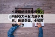 小说网站流量风云录，揭秘各大平台流量争夺战，流量争霸，小说网站风云录