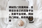 揭秘热门流量网站，选择适合自己的流量平台，流量平台攻略，揭秘热门网站，助你精准选择