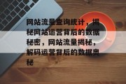网站流量查询统计，揭秘网站运营背后的数据秘密，网站流量揭秘，解码运营背后的数据奥秘