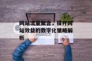 网站流量聚合，提升网站效益的数字化策略解析