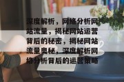 深度解析，网络分析网站流量，揭秘网站运营背后的秘密，揭秘网站流量奥秘，深度解析网络分析背后的运营策略