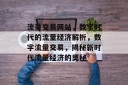 流量交易网站，数字时代的流量经济解析，数字流量交易，揭秘新时代流量经济的奥秘
