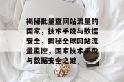 揭秘批量查网站流量的国家，技术手段与数据安全，揭秘全球网站流量监控，国家技术手段与数据安全之谜