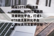 揭秘10TB网站流量的秘密，如何打造高效流量转化平台，打造10TB级流量转化平台，揭秘高效流量转化秘诀