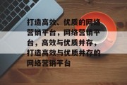 打造高效、优质的网络营销平台，网络营销平台，高效与优质并存，打造高效与优质并存的网络营销平台