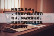 网站流量 Baike，揭秘提升网站流量的秘诀，网站流量秘籍，揭秘高效提升网站流量的独家技巧