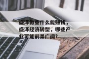盛泽做些什么能赚钱,盛泽经济转型,哪些产业可能前景广阔? 盛泽做些什么能赚钱,盛泽经济转型,哪些产业可能前景广阔?