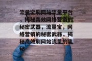 流量宝刷网站流量平台，揭秘高效网络营销的秘密武器，流量宝，网络营销的秘密武器，揭秘高效刷网站流量的奥秘