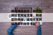 揭秘网络监控，如何监测任意网站流量，网络监控揭秘，追踪任意网站流量的秘密手段