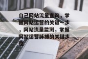 自己网站流量查询，掌握网站运营的关键一步，网站流量监测，掌握网站运营脉搏的关键步骤