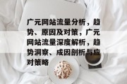 广元网站流量分析，趋势、原因及对策，广元网站流量深度解析，趋势洞察、成因剖析与应对策略