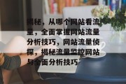 揭秘，从哪个网站看流量，全面掌握网站流量分析技巧，网站流量侦探，揭秘流量监控网站与全面分析技巧