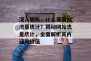 深入解析，什么是网站流量统计？揭秘网站流量统计，全面解析其内涵与价值