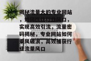 揭秘流量大的专业网站，如何抓住行业风口，实现高效引流，流量密码揭秘，专业网站如何乘风破浪，高效捕获行业流量风口