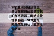 SEO查询网站预估流量，掌握网站流量增长的秘密武器，网站流量增长秘籍，SEO查询网站流量预估，解锁增长之道