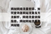 揭秘网络流量密码，如何查询各网站流量及方法解析，网络流量侦探指南，揭秘网站流量查询秘籍