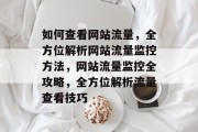 如何查看网站流量，全方位解析网站流量监控方法，网站流量监控全攻略，全方位解析流量查看技巧