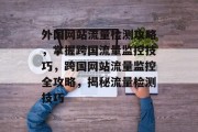 外国网站流量检测攻略，掌握跨国流量监控技巧，跨国网站流量监控全攻略，揭秘流量检测技巧