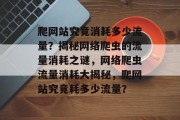 爬网站究竟消耗多少流量？揭秘网络爬虫的流量消耗之谜，网络爬虫流量消耗大揭秘，爬网站究竟耗多少流量？