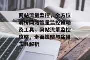 网站流量监控，全方位解析网站流量监控策略及工具，网站流量监控攻略，全面策略与实用工具解析