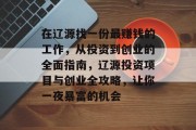 在辽源找一份最赚钱的工作，从投资到创业的全面指南，辽源投资项目与创业全攻略，让你一夜暴富的机会