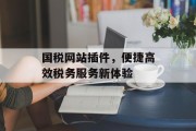 国税网站插件，便捷高效税务服务新体验