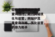 轻松掌握网站IP流量查询技巧，助力网站优化与运营，网站IP流量查询攻略，优化运营的得力助手