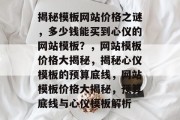 揭秘模板网站价格之谜，多少钱能买到心仪的网站模板？，网站模板价格大揭秘，揭秘心仪模板的预算底线，网站模板价格大揭秘，预算底线与心仪模板解析